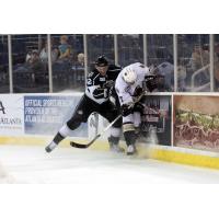 Manchester Monarchs Knock Atlanta Gladiators into the Boards