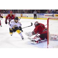 Mark Pustin of the Mississippi RiverKings Scores against the Huntsville Havoc