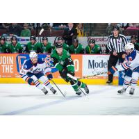 Texas Stars Control the Puck against the Bakersfield Condors