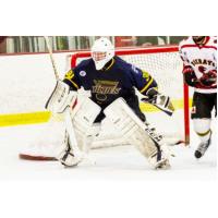 Springfield Jr. Blues Goaltender Tommy Nappier