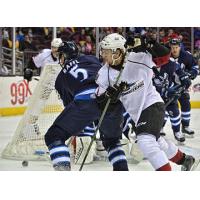 Lake Erie Monsters vs. the Manitoba Moose