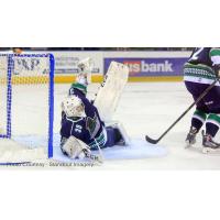 Florida Everblades Goaltender Anthony Peters