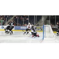 Atlanta Gladiators Skate in on Manchester Monarchs