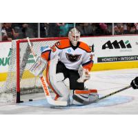 Lehigh Valley Phantoms Goaltender Connor Knapp