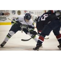 Bloomington Thunder Face off vs. Team USA