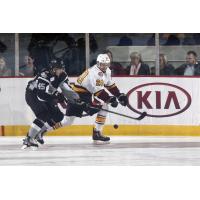 Chicago Wolves Right Wing Cody Beach vs. the San Antonio Rampage