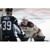 Chicago Wolves Center Justin Hodgman Faces off with the San Antonio Rampage