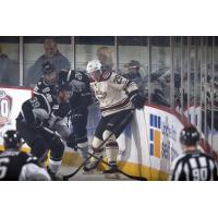 Chicago Wolves Right Wing Danny Kristo up against the Boards vs. the San Antonio Rampage