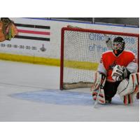 Danville Dashers in Goal