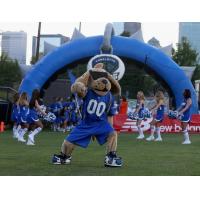 Charlotte Hounds Game Intro