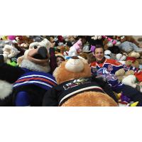 Bakersfield Condors Sea of Teddy Bears