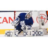 Former Orlando Solar Bears Goalie Garret Sparks with the Toronto Maple Leafs