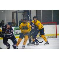 Springfield Jr. Blues vs. the Topeka RoadRunners