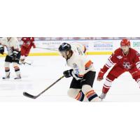 Missouri Mavericks Defenseman Patrick Cullity vs. the Allen Americans