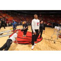 Forward/Center Jarnell Stokes with the Miami Heat