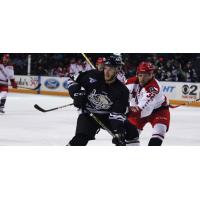 Bryan Moore of the Utah Grizzlies vs. the Allen Americans