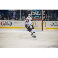 Forward Tommy Apap with the Fargo Force