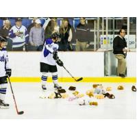 Lone Star Brahmas Teddy Bear Toss