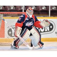 Goaltender Brendan Johnston with the Windsor Spitfires