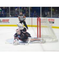 Lehigh Valley Phantoms Goaltender Anthony Stolarz with a Glove Save