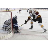 Eriah Hayes of the Chicago Wolves Takes a Shot vs. the Manitoba Moose