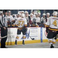 Jordan Caron Congratulated by the Chicago Wolves Bench vs. the Manitoba Moose