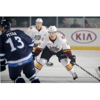 Zach O'Brien of the Chicago Wolves Keeps An Eye on the Manitoba Moose