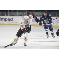 Spencer Asuchak of the Chicago Wolves Races for the Puck vs. the Manitoba Moose