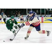 Tri-City Americans Shoot past the Everett Silvertips