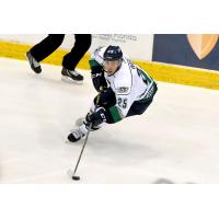 Ethan Werek of the Florida Everblades