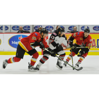 Brampton Beast Battle past the Adirondack Thunder