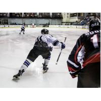 Lone Star Brahmas Skate against the Wichita Falls Wildcats