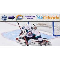 Orlando Solar Bears Goaltender Ryan Massa