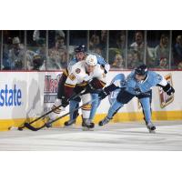 Chicago Wolves Right Wing Zach O'Brien vs. the Milwaukee Admirals