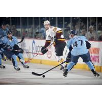 Chicago Wolves Right Wing Cody Beach vs. the Milwaukee Admirals