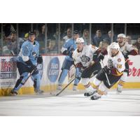 Chicago Wolves Battle the Milwaukee Admirals