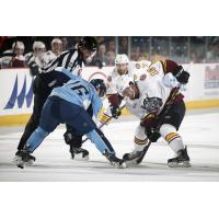 Zach O'Brien of the Chicago Wolves Faces off with the Milwaukee Admirals