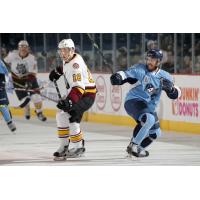 Yannick Veilleux of the Chicago Wolves vs. the Milwaukee Admirals