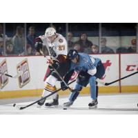 Jordan Caron of the Chicago Wolves Fights Past the Milwaukee Admirals