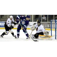 Atlanta Gladiators Defend the Net against the Orlando Solar Bears