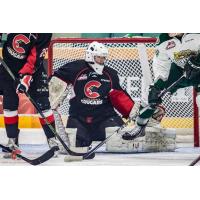 Prince George Cougars Goaltender Mack Shields