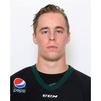 Quad City Mallards Forward Logan Nelson