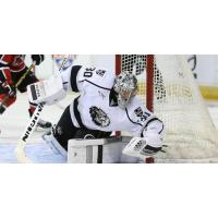 Manchester Monarchs Goaltender Patrik Bartosak