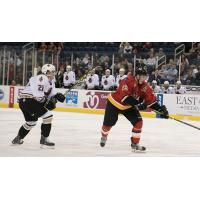Atlanta Gladiators vs. Adirondack Thunder