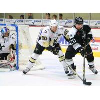Wheeling Nailers Forward Jarrett Burton Holds off Reading Royals Forward Riley Armstrong