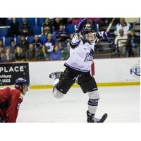 Lone Star Brahmas Celebrate vs. the Amarillo Bulls