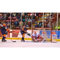 Flint Firebirds vs. Sault Ste. Marie Greyhounds