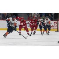 Flint Firebirds Bring the Puck up vs. the Sault Ste. Marie Greyhounds