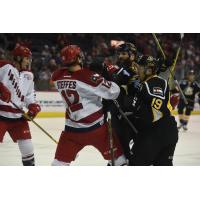 Allen Americans Tussle with the Colorado Eagles