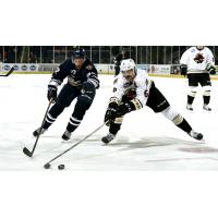 Atlanta Gladiators vs. the Greenville Swamp Rabbits